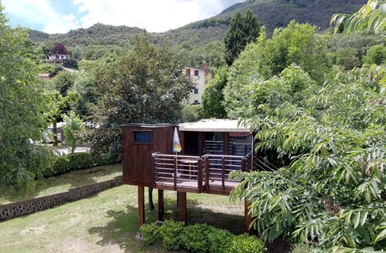 Tree house